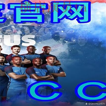 世界杯官方信息背景下的世界杯买球网站精选与真实体验